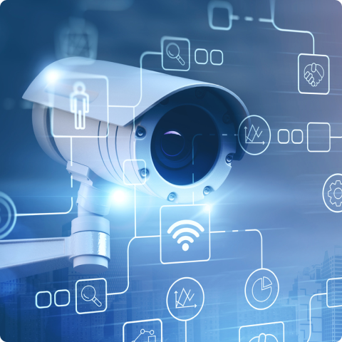 SurveillanceCameras