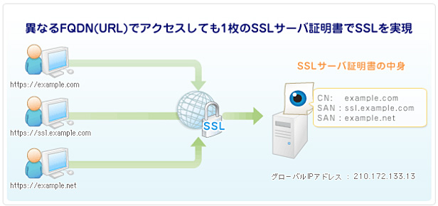 ssl20120308.jpg